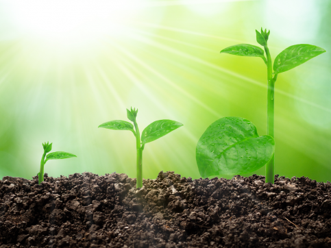 GUBERNA Summer School 