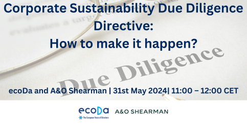 Corporate Sustainability Due Diligence Directive: How to make it happen?