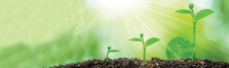 Sustainability and Digitalisation - the sum of all fears or the sum of its parts?