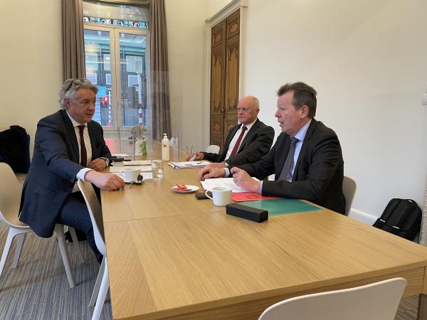 GUBERNA Directors Sparkle